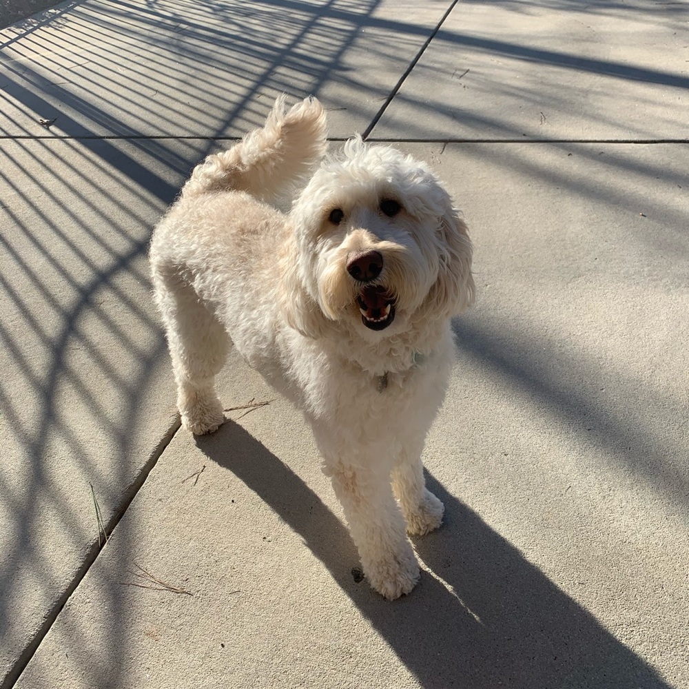 Meet your Posher, Marilyn